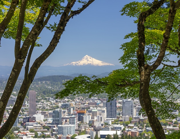 Financial Advisors in Portland, OR