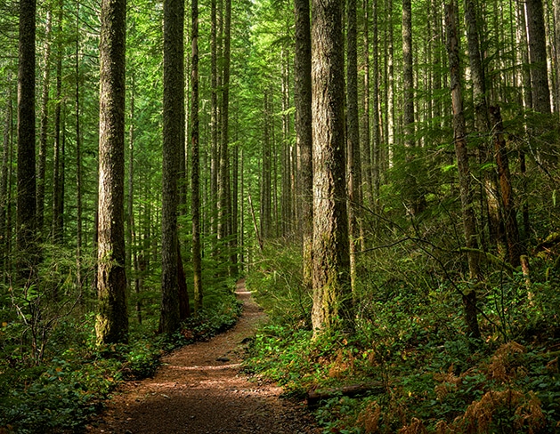 Financial Advisors in Portland, OR
